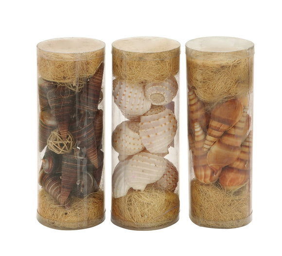 Beautiful Styled Sea Shells 3 Assorted