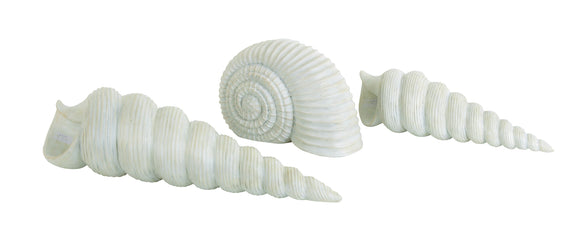 Nautical Shell Decor Glazed in White Color with Fine Detailing - Set of 3