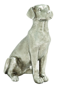 Egyptian Hoary dog masterpiece