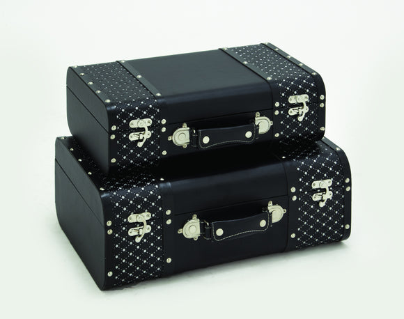 Set of Two Paris Stylish Vinyl Case