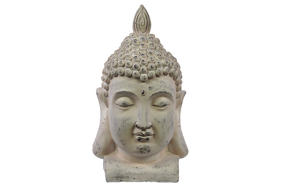 Harmonious Buddha Face in Alluring  Fiberstone