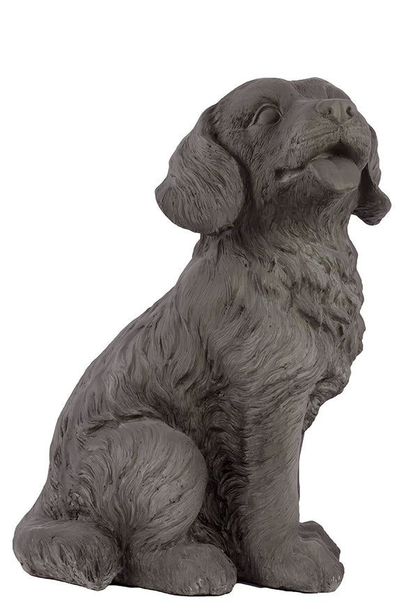 Fiberstone Polystone Grey Colored Sweet Dog