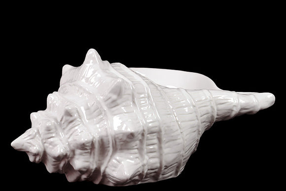 Beautiful Decorative Ceramic Seashell in White