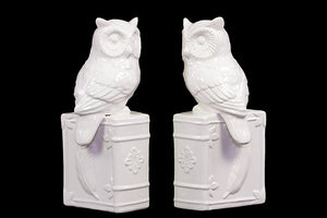 Yangtze Alluring  Ceramic Owl Bookend White