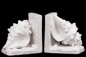 Shanghai’s Alluring  Ceramic Sea-Shell Bookend White