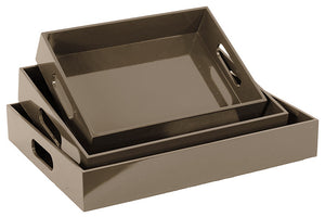 Stylish and Modish Wooden Grey Colored Trays