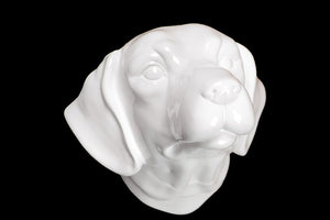 Catchy & Mysterious Ceramic Dog Head White