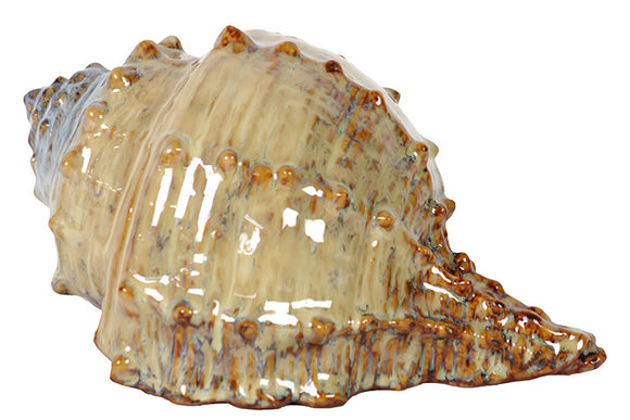 Beautifully Sculpted Ceramic Sea Shell with Glossy Finish in Brown Tone