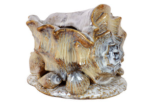 Beautifully Sculpted Magnificent Ceramic Sea Shell Finished in Brown Tone