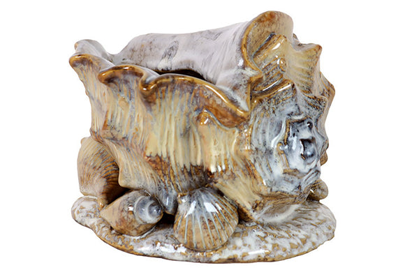 Beautifully Sculpted Magnificent Ceramic Sea Shell Finished in Brown Tone