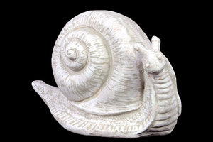 Happy and Delightful Ceramic Snail Showpiece (Small) in White and Green