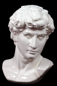 Majestic and Classic Ceramic Man Bust in White