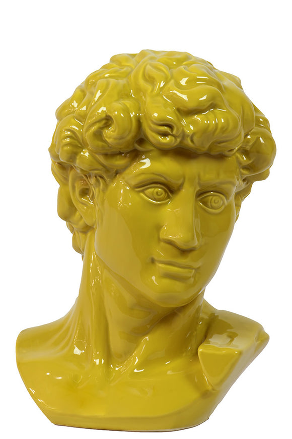 Majestic and Classic Ceramic Man Bust in Yellow