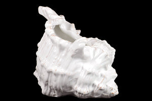 Attractive and Elegant Ceramic Seashell Decorative Piece in White