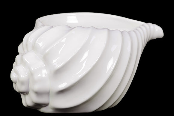 Beautiful, Glossy and Shiny Ceramic Shell Showpiece in White (Large)