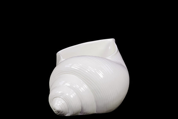 Elegant and Attractive Ceramic Shell in White (Small)