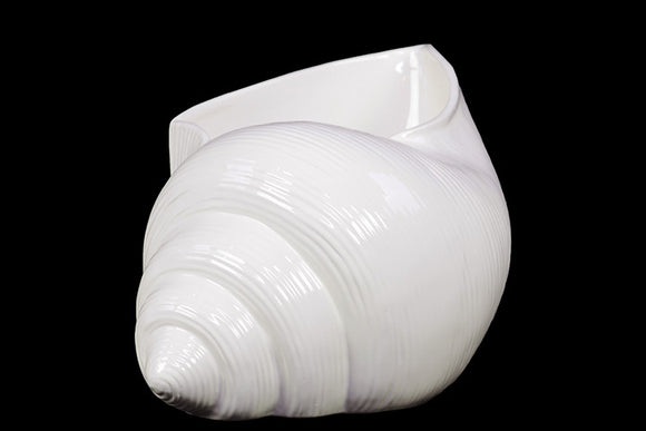 Elegant and Attractive Ceramic Shell in White (Large)